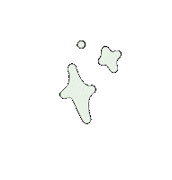 South Africa Star Sticker