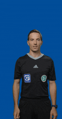 dasoertliche soccer bundesliga fussball dfb GIF