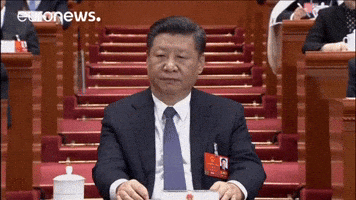 China Xijinping GIF by euronews
