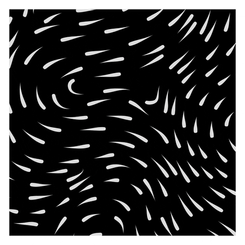 Good Night Loop GIF by xponentialdesign