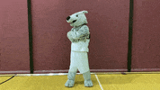 I Want You GIF by Cardinal Stritch University