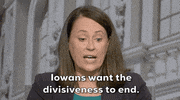 Theresa Greenfield GIF by Election 2020