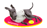 Dog Ball Sticker by BANANADOG