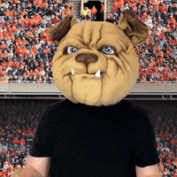 MUGRootBeer dog clapping mug root beer GIF