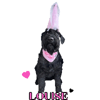 Giant Dog Sticker
