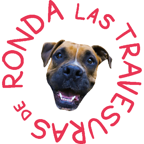 alextecuenta giphyupload swipe up alex desliza Sticker
