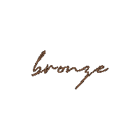 Eyeshadow Bronze Sticker by Vice Cosmetics