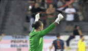 Kailensheridan GIF by National Women's Soccer League
