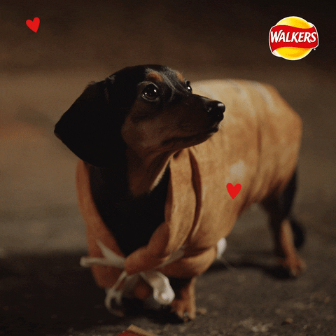 Merry Christmas Dog GIF by Walkers Crisps
