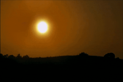 los angeles la GIF by The Hills