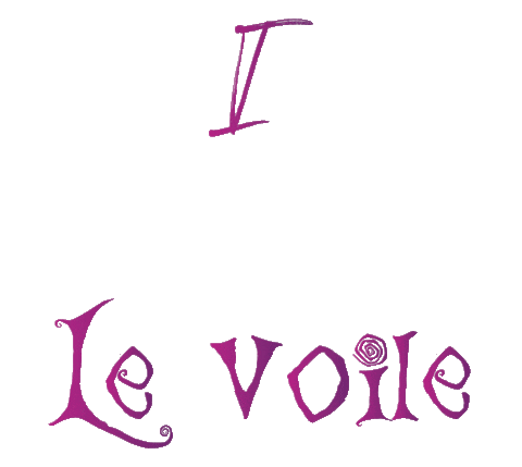Hijab Sticker by Le Voile Scarfs