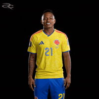 Fifa World Cup Colombia GIF by Respective