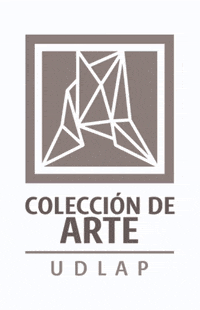ColeccionUDLAP arte coleccion udlap GIF