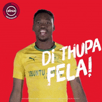 south african soccer GIF