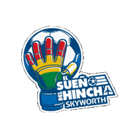 Sueño Del Hincha Sticker by skyworthbo