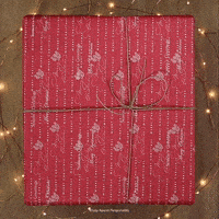 aperol_christmas_gift GIF by Aperol Germany
