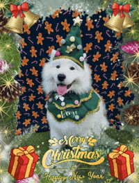 Feliz Navidad Gingerbread GIF