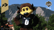 College Sports Colorado GIF by College Colors Day