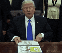president bikini GIF