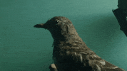 La Salle Art GIF by jorgemariozuleta