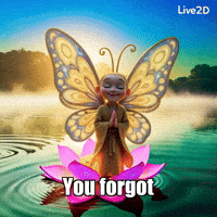 Flower Peace GIF by BuddhaFlyJourney