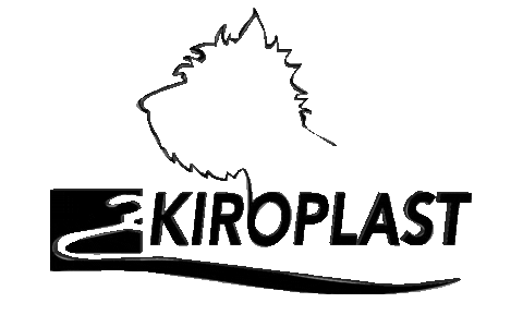 kiroplast giphyupload kiroplast Sticker