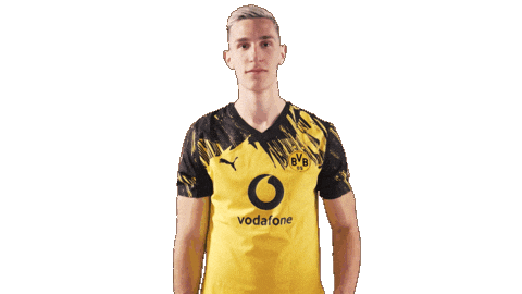 Borussia Dortmund Football Sticker by Bundesliga