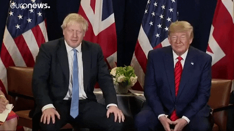 Donald Trump GIF by euronews