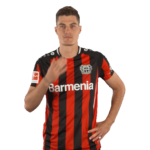 I Love You Smile Sticker by Bayer 04 Leverkusen