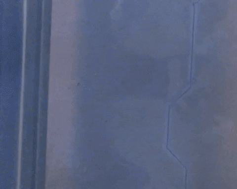 beatrizsandini giphygifmaker GIF