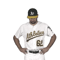 Regular Season Sport Sticker by MLB