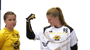 Floorball Salibandy Sticker by F-liiga