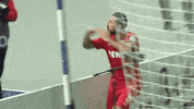 football soccer GIF by 1. FC Köln