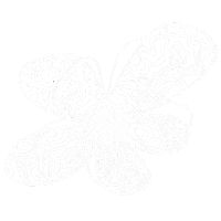 bundoqs logo flower mountain topography Sticker