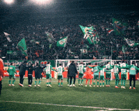 Sturm Graz Fans GIF by SK Rapid