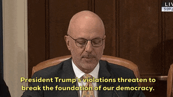 Impeachment Inquiry GIF by GIPHY News