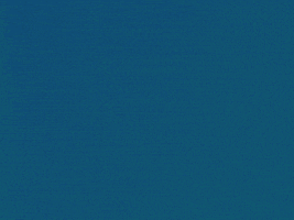 Illustration Loop GIF by Wakelet