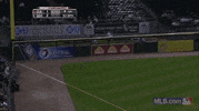 GIF by MLB