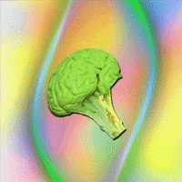 brain wtf GIF by Anne Horel