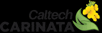 Carinata GIF by Caltechagro