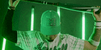 Baseball Ball GIF by Marshall University Athletics