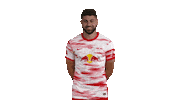 Football Win Sticker by RB Leipzig