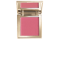 Pink Rose Blush Sticker by UP COSMETICS