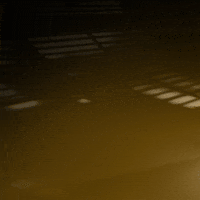 Gpd GIF by INT.design