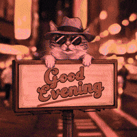 Cats Piano GIF by Gallery.fm
