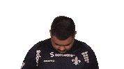 Darmstadt Sticker by Bundesliga