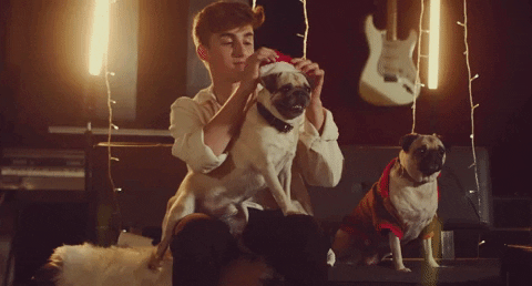 Dog Christmas GIF by Johnny Orlando
