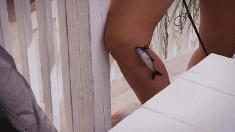 fox tv GIF by American Grit