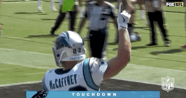 Carolina Panthers Football GIF by NFL