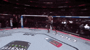 Mixed Martial Arts Sport GIF by UFC